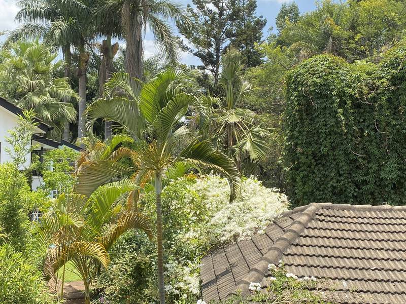 Manor on Lower Kabete - Gallery 19